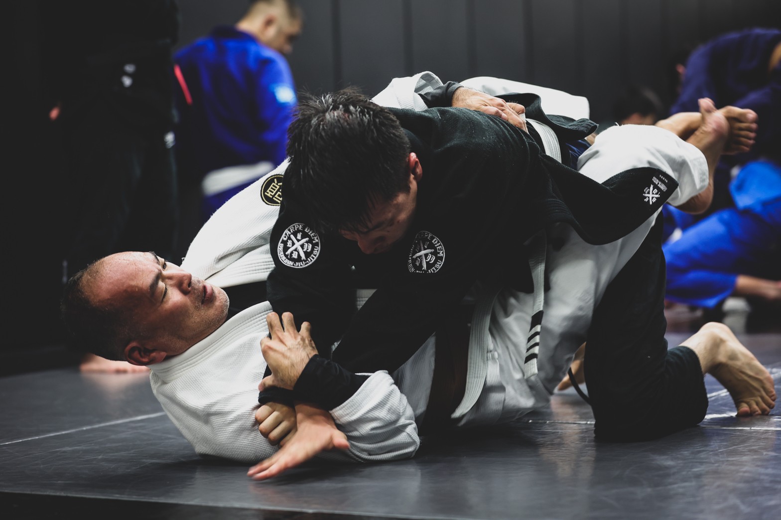 White belt class/Basic class
